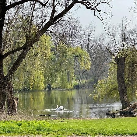 Strasbourg, Appartement Cosy Au Bord De L Eau Dış mekan fotoğraf