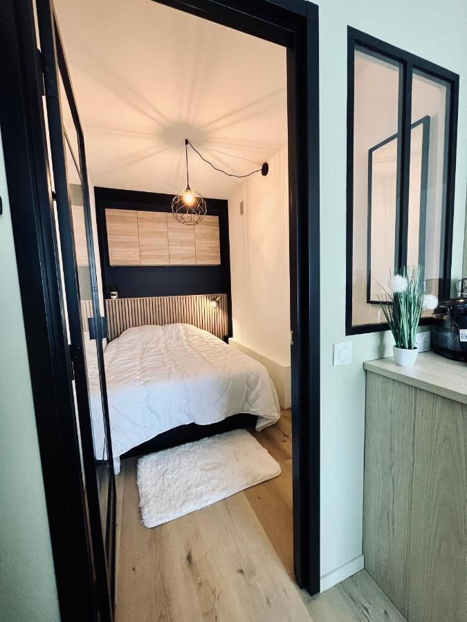 Strasbourg, Appartement Cosy Au Bord De L Eau Dış mekan fotoğraf
