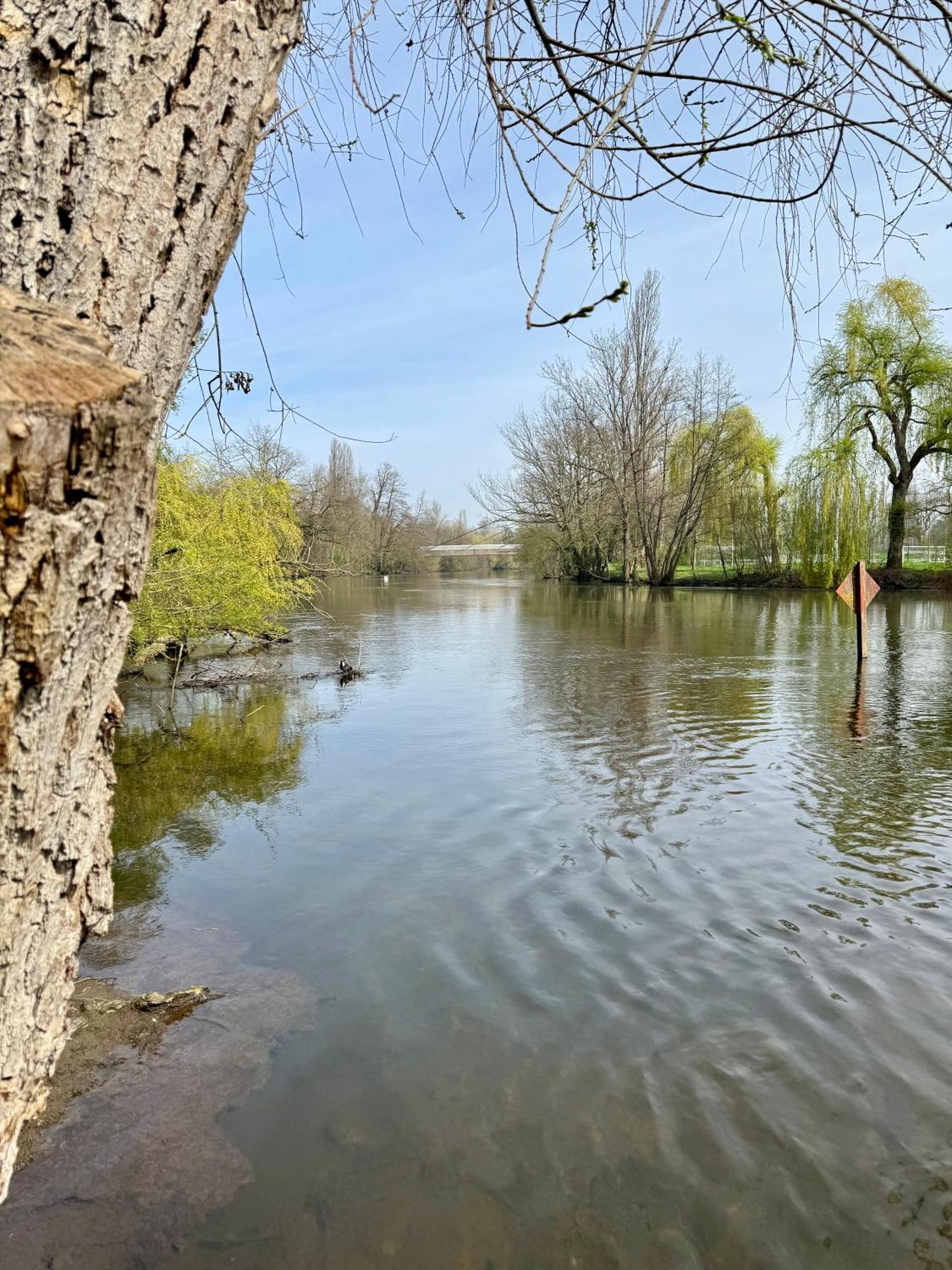 Strasbourg, Appartement Cosy Au Bord De L Eau Dış mekan fotoğraf