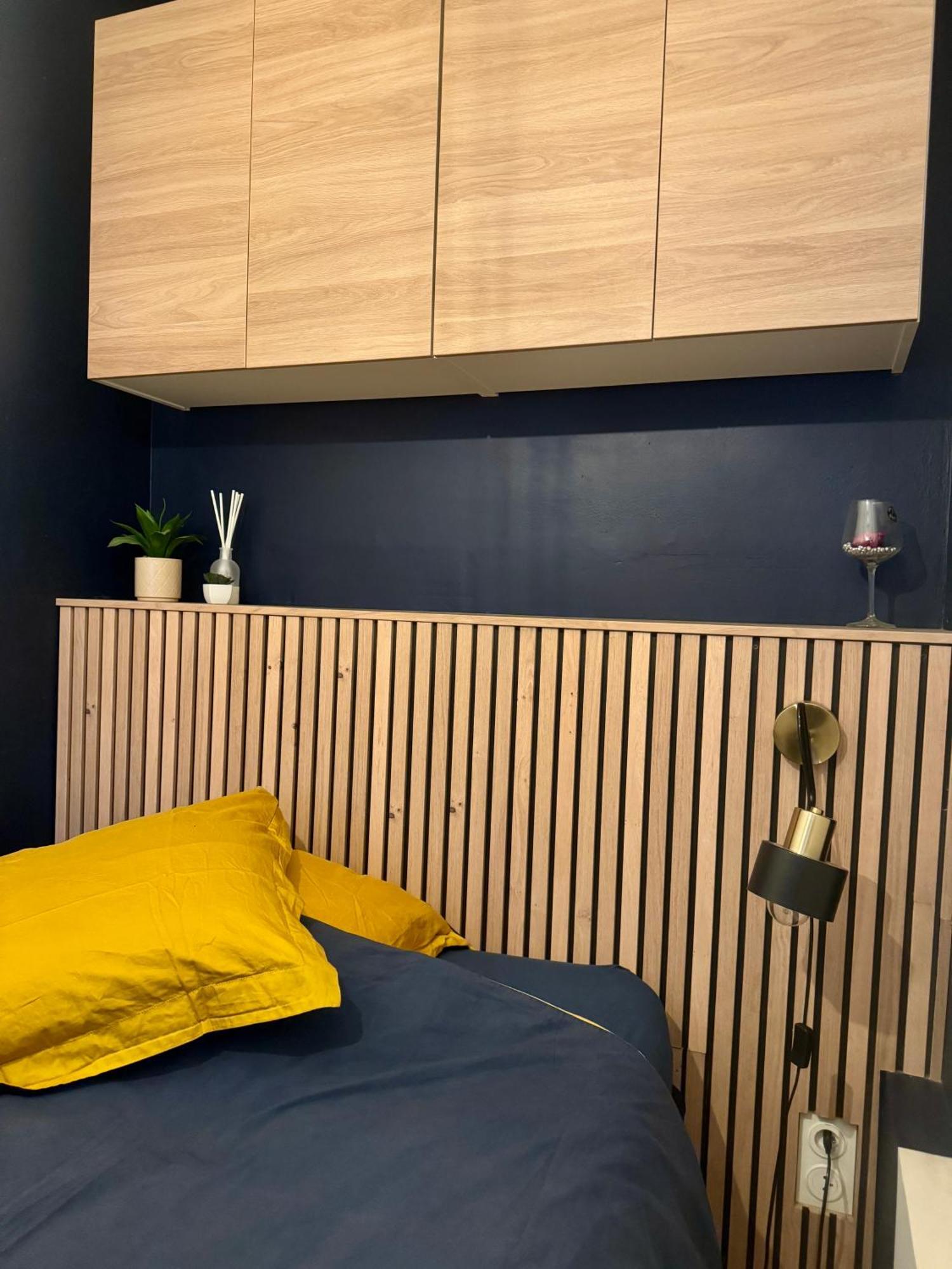 Strasbourg, Appartement Cosy Au Bord De L Eau Dış mekan fotoğraf